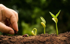  Исполнение рекомендаций КСП Томской области: введение в эксплуатацию оборудования 