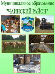 Контрольно-счетная палата закончила проверку исполнения местных бюджетов в муниципальных образованиях Томской области